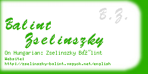 balint zselinszky business card